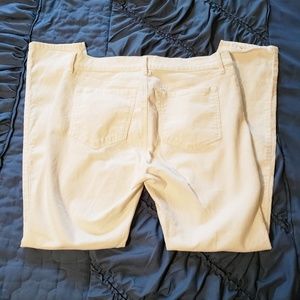 Ann Taylor LOFT Cream Corduroy Pants Size 6 NWOT